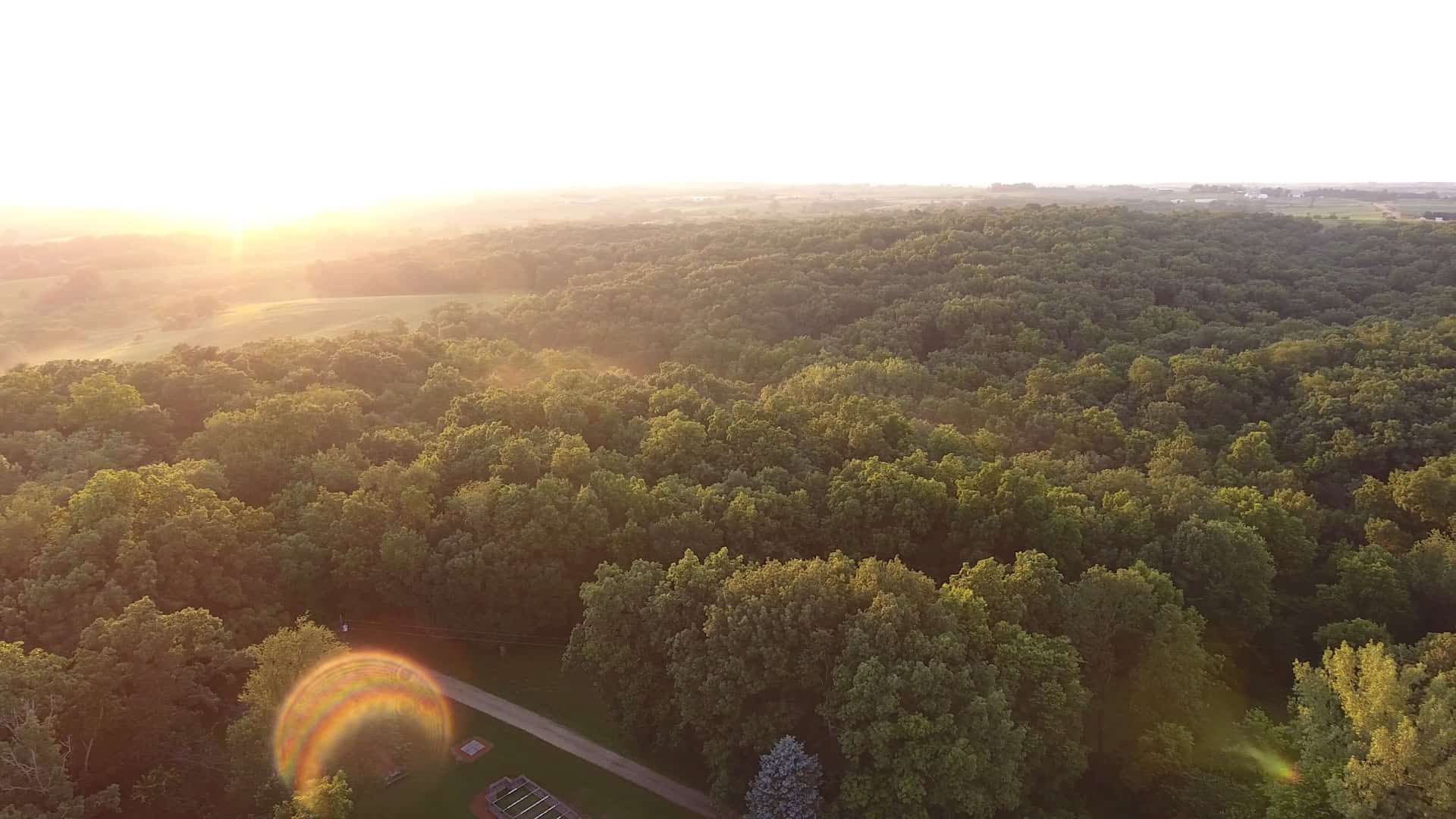 Aerial view of a forest at sunrise.