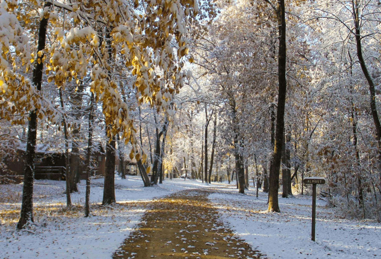A snow covered path in a wooded area at campgrounds in Iowa.